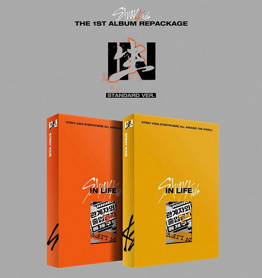 JYP Ent Stray Kids IN Life Standard Ver. (B Type) Repackage Album CD+Photobook+2 Photocards+Postcard+(Extra 4 Photocards+1 Double-Sided Photocard+Pocket Mirror)